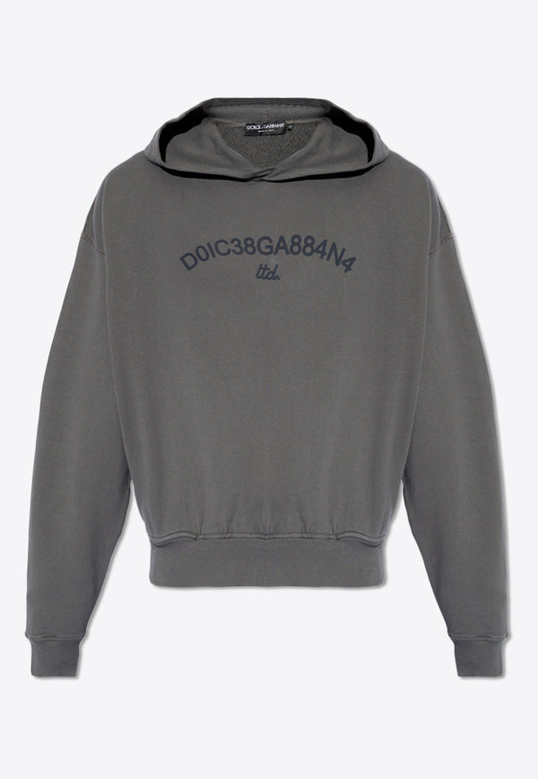 Dolce & Gabbana Logo Print Hooded Sweatshirt Gray G9AYQT G7M8E-N9299