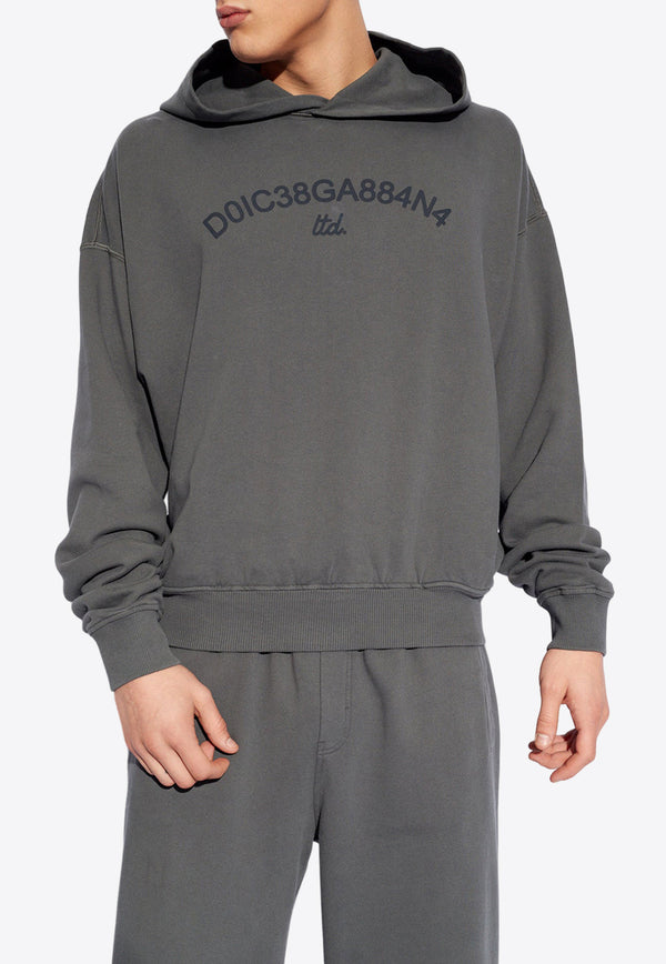 Dolce & Gabbana Logo Print Hooded Sweatshirt Gray G9AYQT G7M8E-N9299