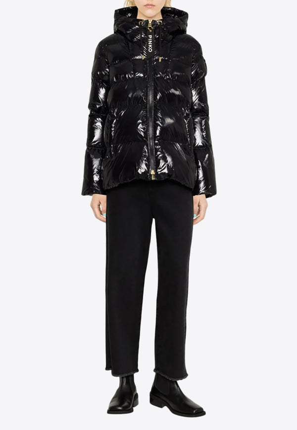 PINKO Eleodoro Quilted Puffer Jacket Black 101597A11K_Z99