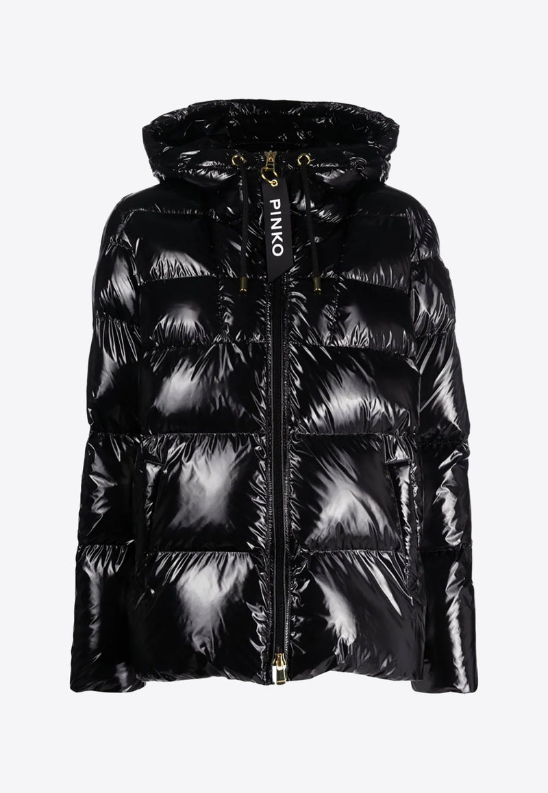 PINKO Eleodoro Quilted Puffer Jacket Black 101597A11K_Z99