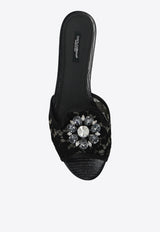 Dolce & Gabbana Bianca Embellished Lace Flat Sandals Black CQ0023 AG667-80999