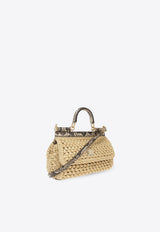 Dolce & Gabbana Small Sicily Woven-Raffia Shoulder Bag Beige BB7116 A2Y84-8B134