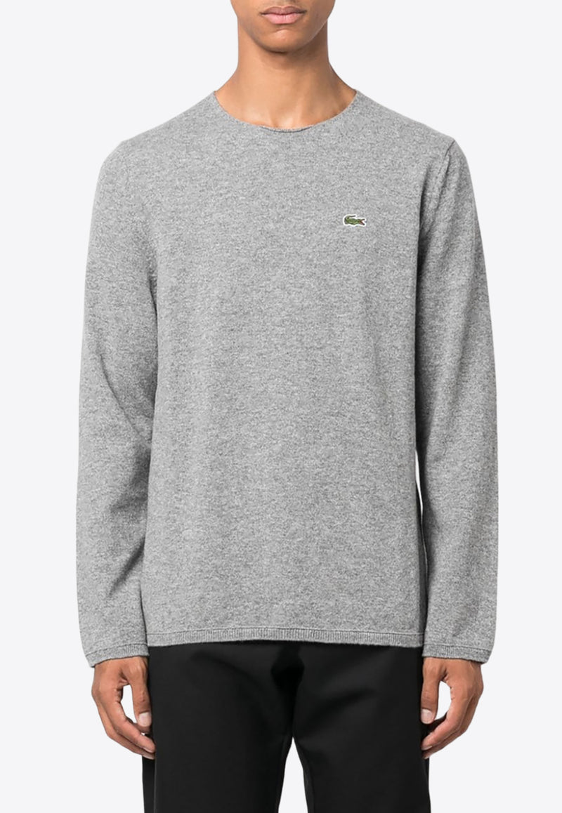 Comme Des Garçons X Lacoste Intarsia Knit Logo Wool Sweater Gray FLN004W23_3