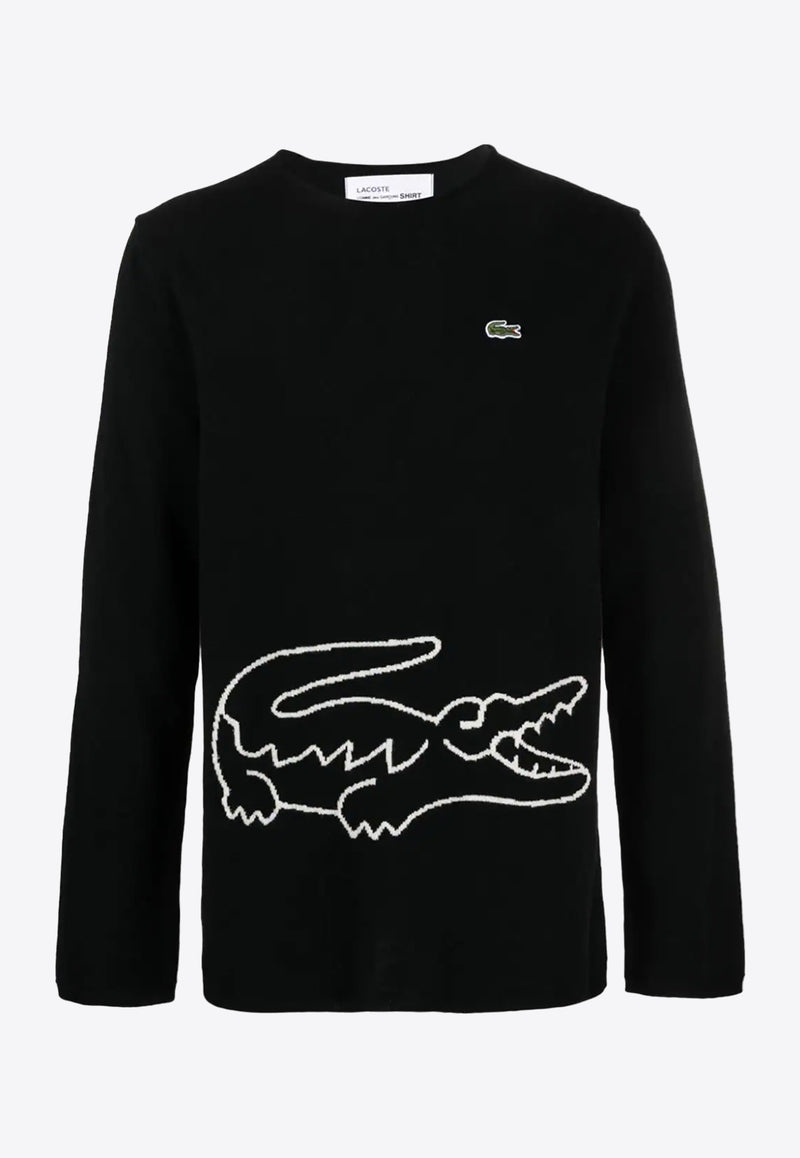 Comme Des Garçons X Lacoste Intarsia Knit Logo Wool Sweater Black FLN003W23_1