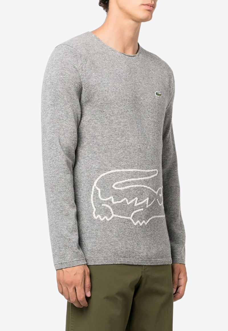 Comme Des Garçons X Lacoste Intarsia Knit Logo Sweater Gray FLN003W23_3