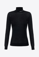 Elisabetta Franchi Semi-Sheer Turtleneck Sweater Black MK25S47E2_110