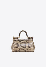 Dolce & Gabbana Small Sicily Python-Skin Top Handle Bag Beige BB7116 A2111-80200