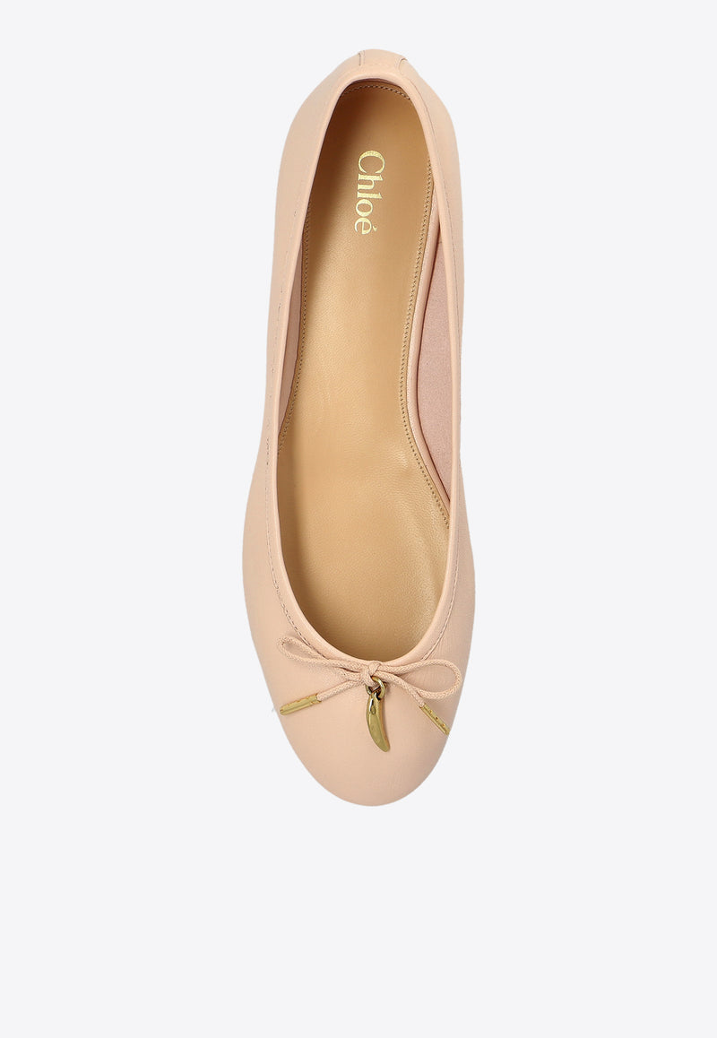 Iris Leather Ballet Flats