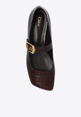 Chloe Ballerinas Polly Brown CHC24W07B OP-28X