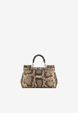 Dolce & Gabbana Small Sicily Top Handle Bag in Python Embossed Leather BB7116 A2111 80200 Multicolor