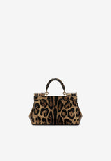 Dolce & Gabbana Small Sicily Leopard Print Top Handle Bag Brown BB7116 AM568 HA93M
