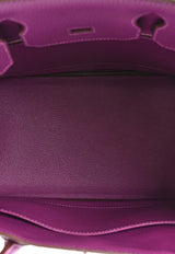 Hermès Birkin 30 in Anemone Togo Leather with Palladium Hardware