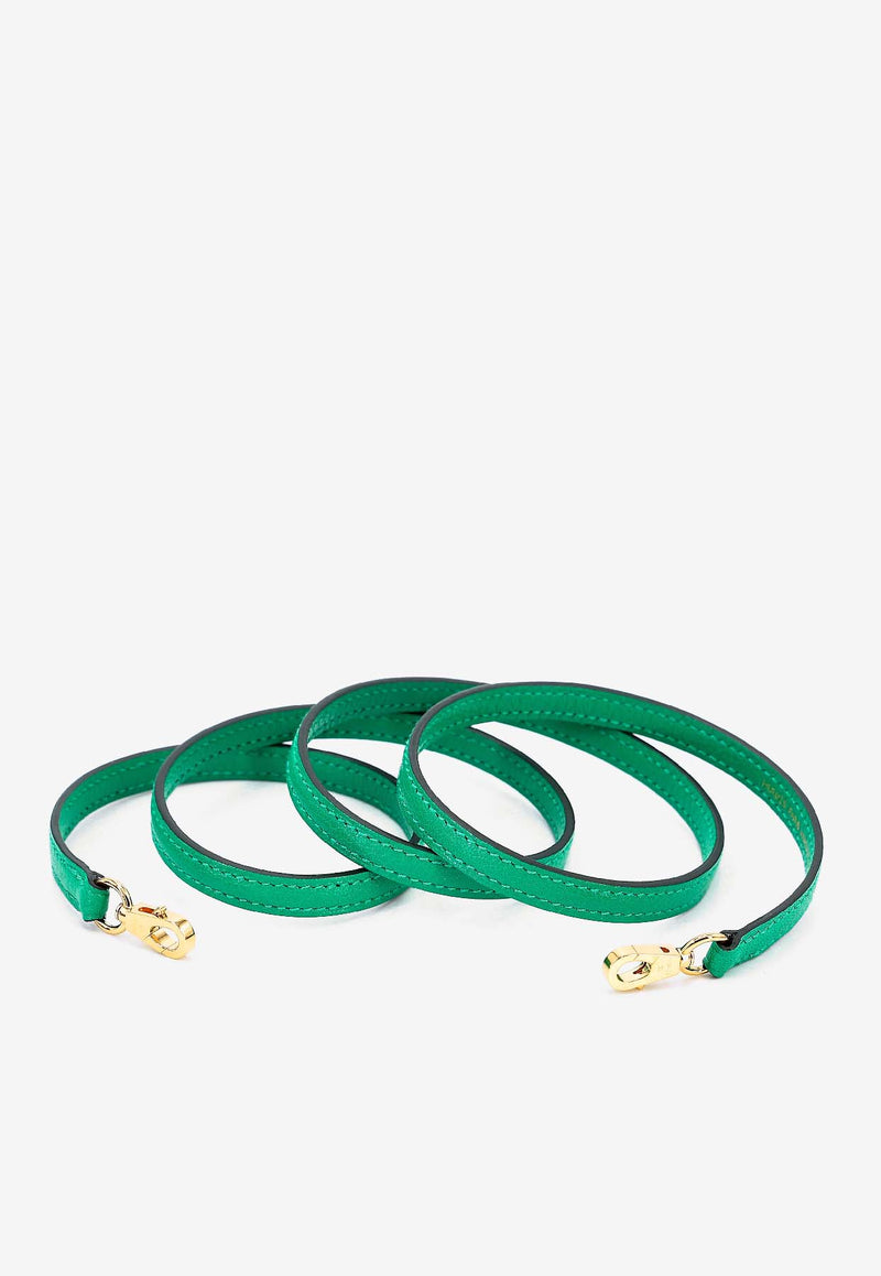 Mini Bolide 1923 in Menthe Chevre Leather with Gold Hardware