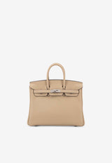Birkin 25 in Trench Togo Leather with Palladium Hardware