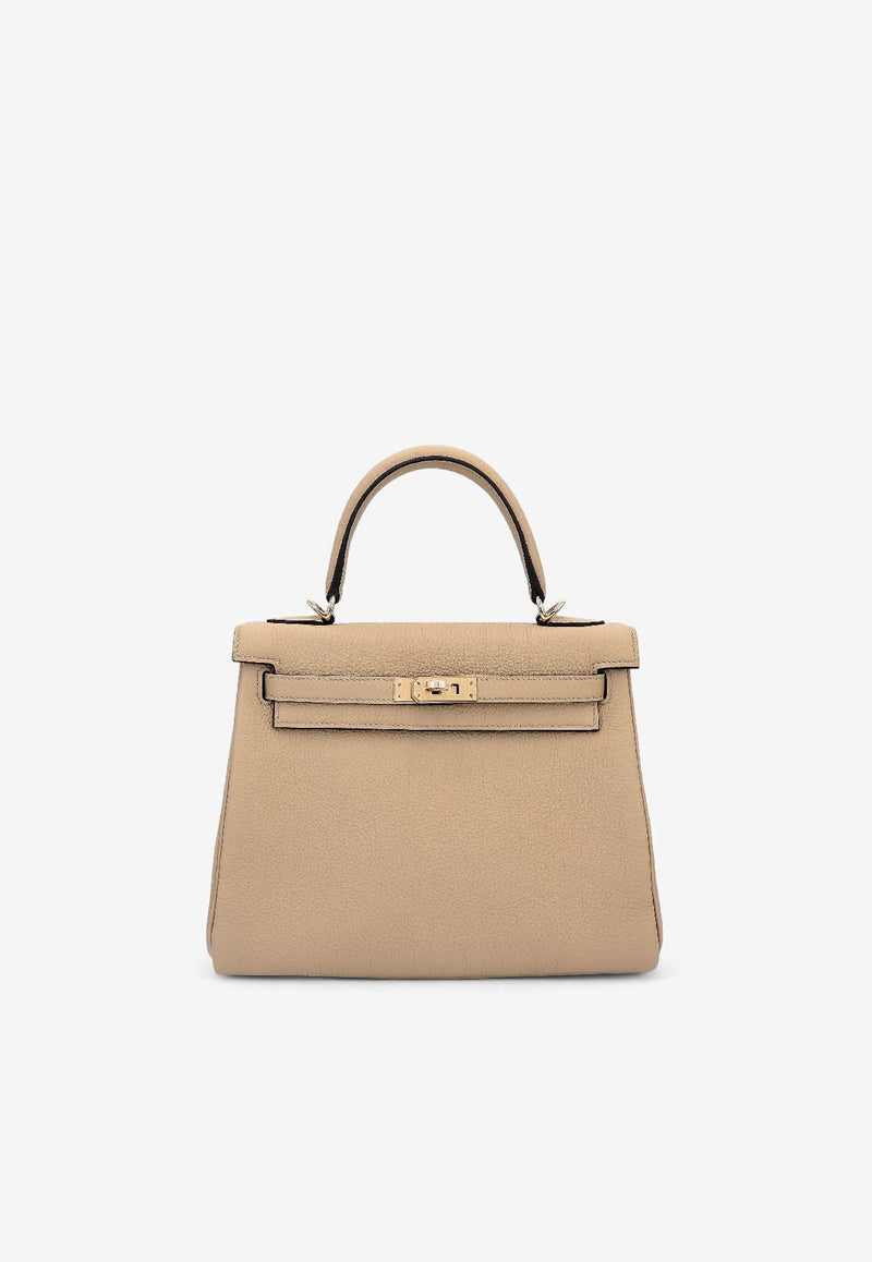 Birkin 25 in Trench Togo Leather with Permabrass Hardware