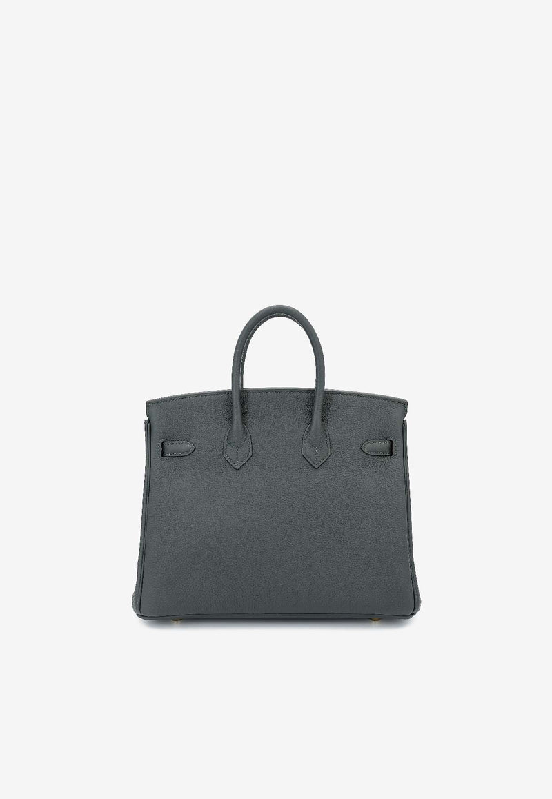 Birkin 25 in Vert Mangrove Togo Leather with Permabrass Hardware