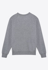 A.P.C. VPC Logo Sweatshirt Gray COHBN-M27907UCO/P_APC-TPI