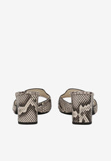 Dolce & Gabbana Abaya 60 Python Leather Mules CR1699 A2Y68 80005 Multicolor