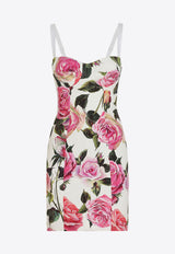 Dolce & Gabbana Rose Print Jacquard Mini Corset Dress Multicolor F6TMZT FSRQJ HA5IG