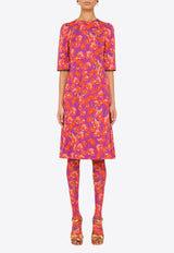 Dolce & Gabbana Multicolor F6UI6T FSA21 HP3IW