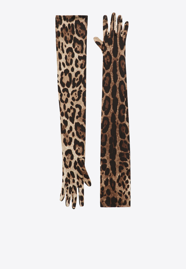 Dolce & Gabbana Leopard Print Long Stretch Gloves Brown FG108A FSAYF HY13M