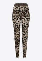 Dolce & Gabbana Leopard Print Jersey Leggings Brown FTCQKT FJGAS S8350