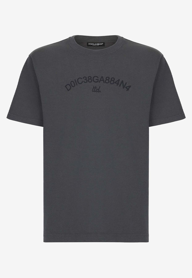 Dolce & Gabbana Logo Print T-shirt Gray G8PN9T G7M3K N9299