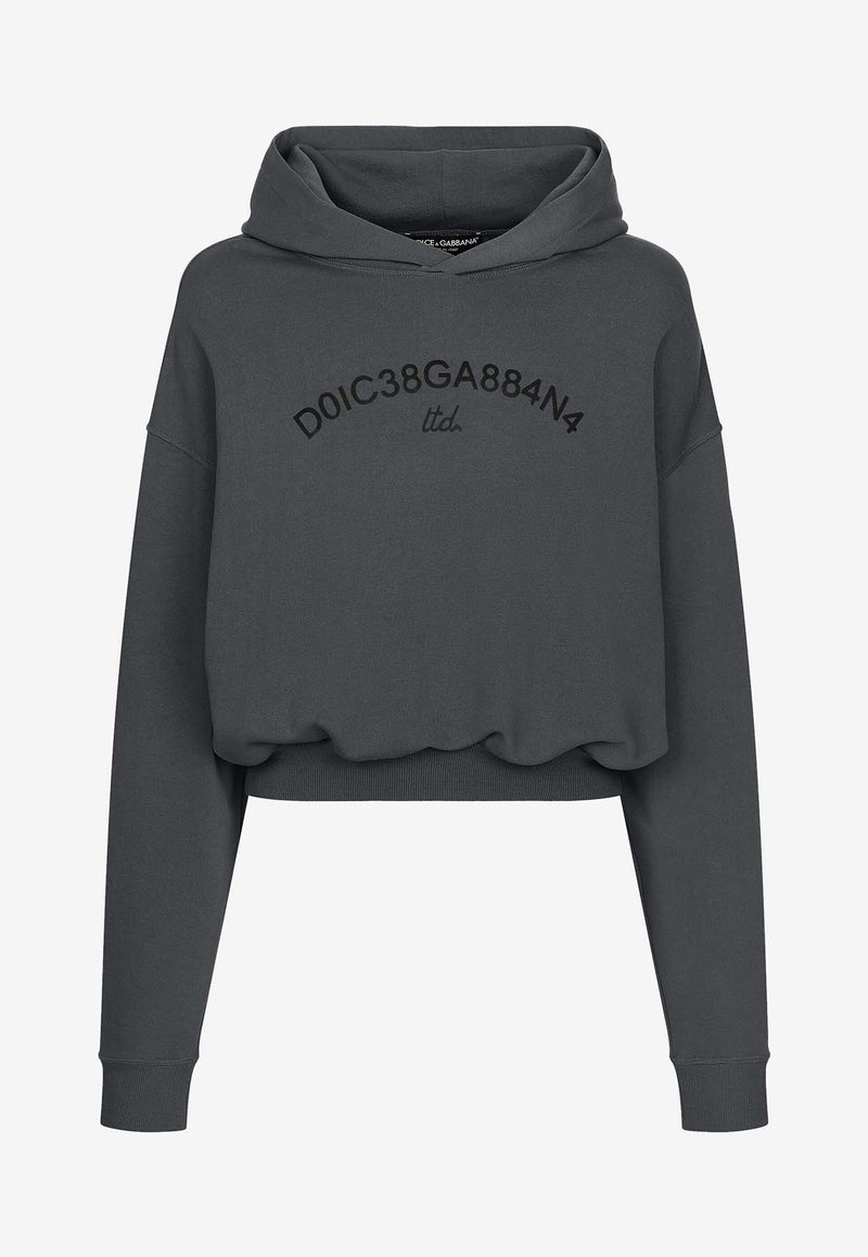 Dolce & Gabbana Logo Print Cropped Hooded Sweatshirt Gray G9AYQT G7M8E N9299
