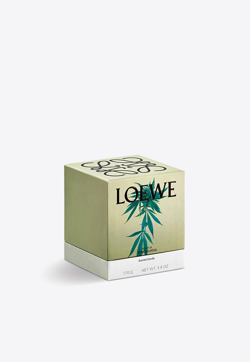 Loewe Small Marihuana Scented Candle Green LW67584WX/N_LOEW-MA