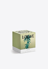 Loewe Medium Marihuana Scented Candle Green LW67591WX/N_LOEW-MA