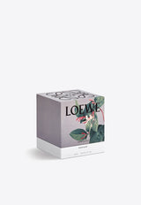 Loewe Medium Honeysuckle Scented Candle Yellow LW67621WX/N_LOEW-HS