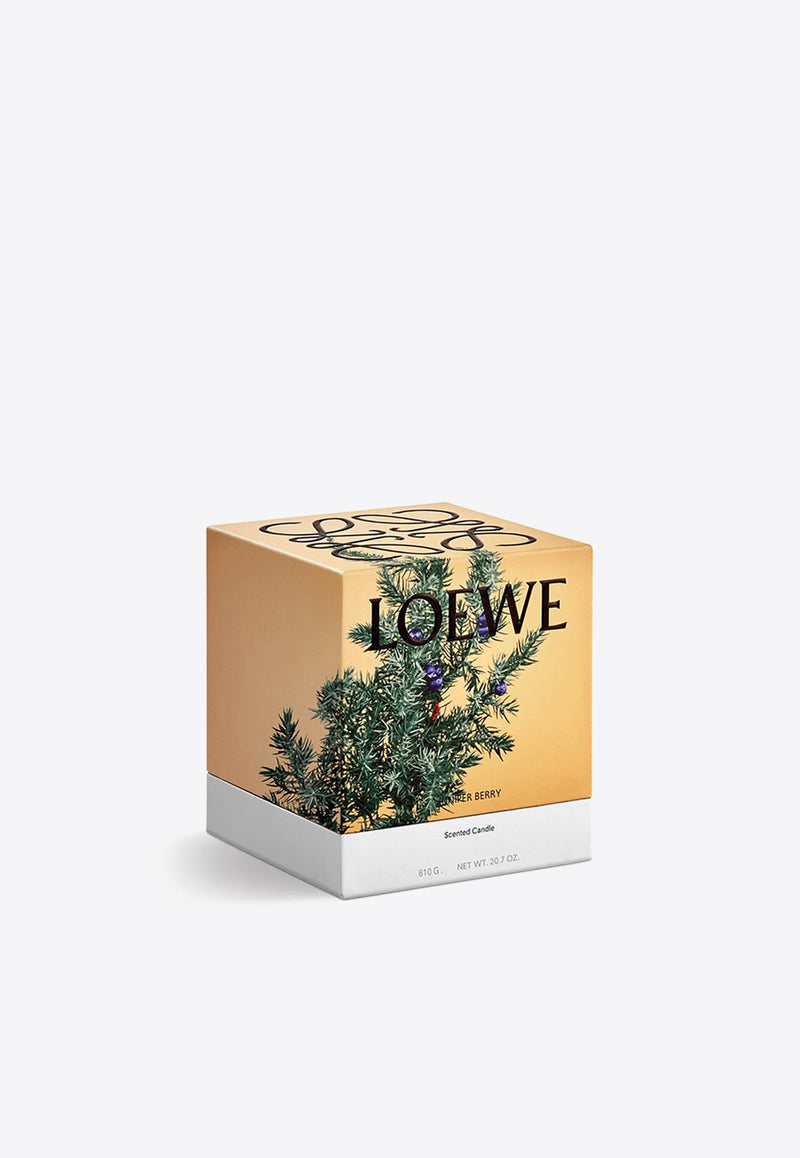 Loewe Small Juniper Berry Scented Candle Brown LW67645WX/N_LOEW-JP