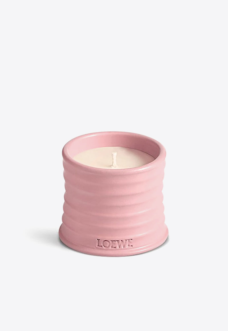 Loewe Small Ivy Scented Candle Pink LW67706WX/N_LOEW-IV