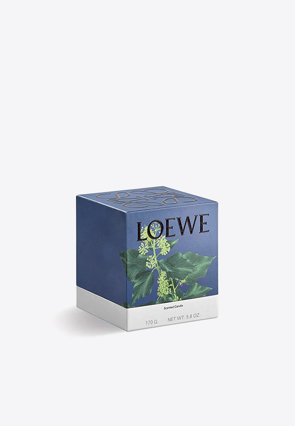 Loewe Small Ivy Scented Candle Pink LW67706WX/N_LOEW-IV