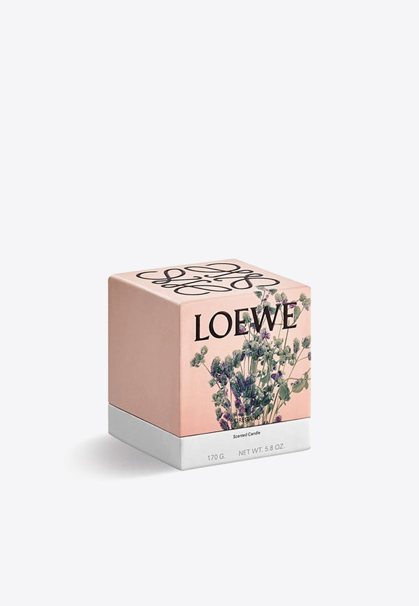 Loewe Small Oregan Scented Candle White LW67799WX/N_LOEW-OR