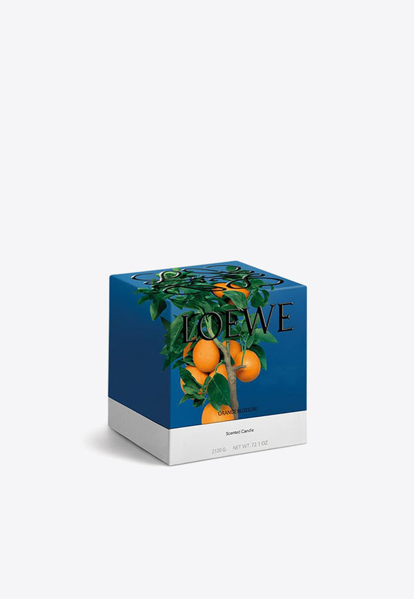 Loewe Small Orange Blossom Scented Candle Orange LW77194WX/N_LOEW-OB