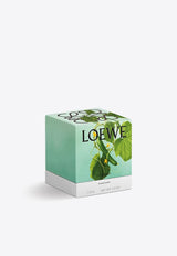 Loewe Small Cucumber Scented Candle Green LW77323WX/N_LOEW-CU