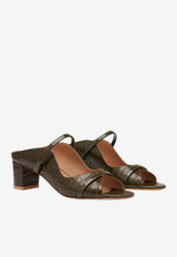 Malone Souliers Norah 45 Croc-Embossed Leather Mules Olive NORAH 45-9 OLIVE/OLIVE