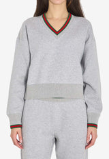 Web V-neck Sweatshirt