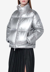 Herno Laminar Metallic Shield Puffer Jacket Silver PI00380DL12849/R_HERNO-9500