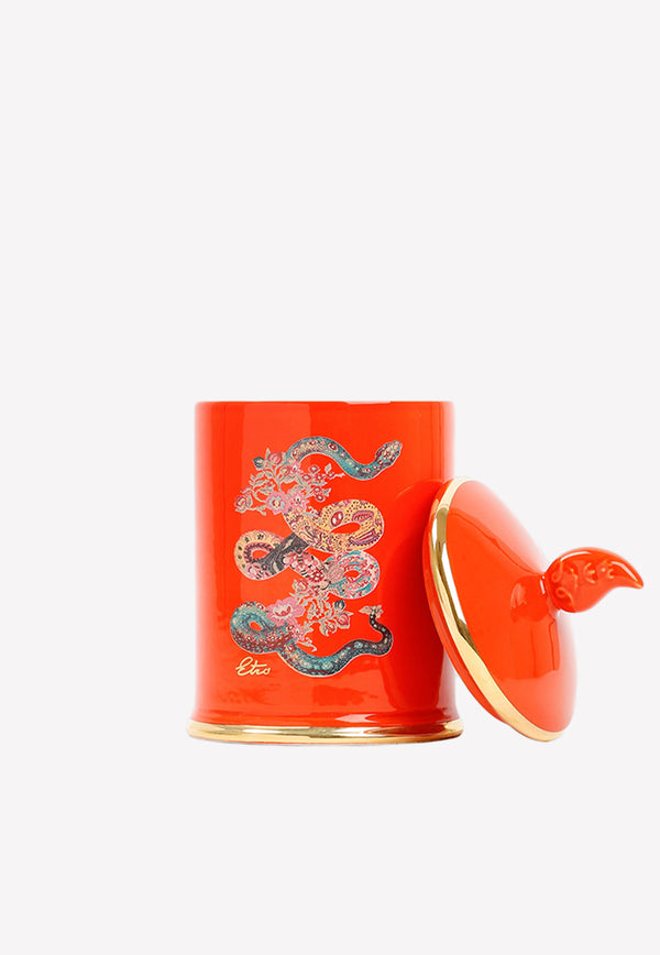 Etro Home Graphic Snake Print Candle  60128.0100 9994