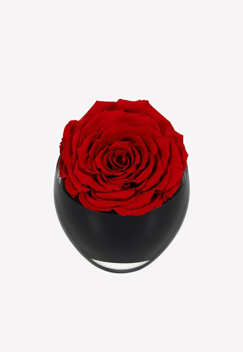 OnlyRoses The Infinite Rose Crimson 