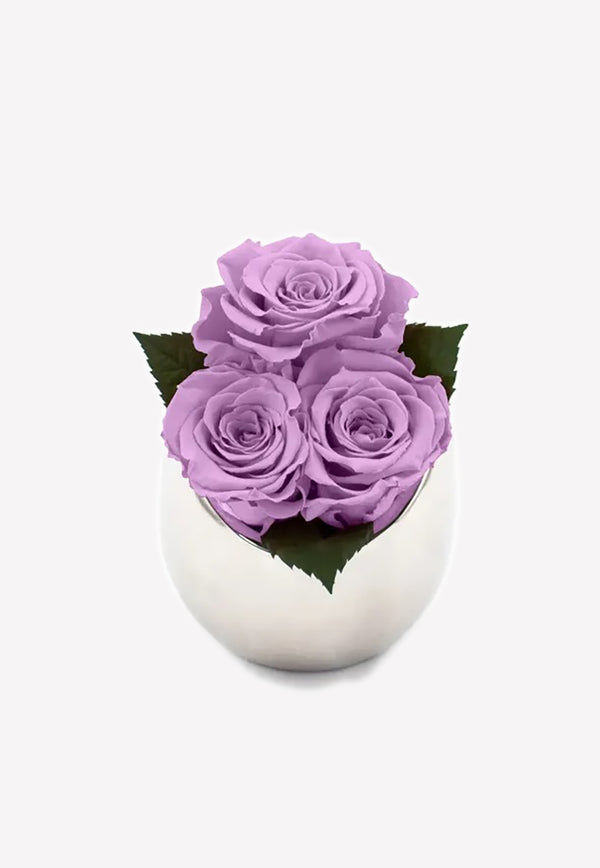 OnlyRoses Infinite Rose Fortune Lavender 
