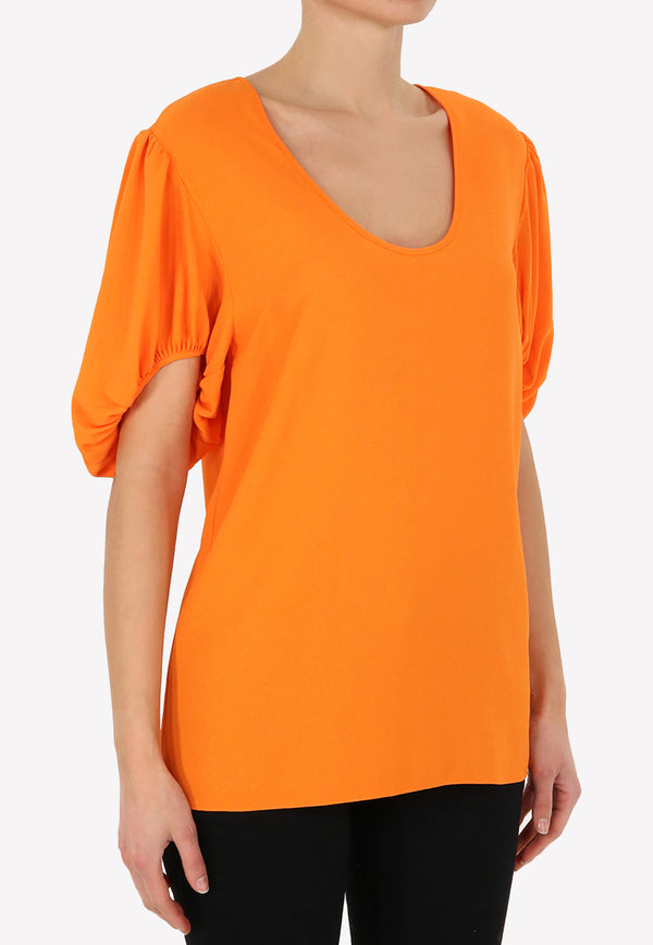 V-Neck Puff Sleeves Top